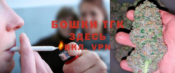 PSILOCYBIN Аркадак