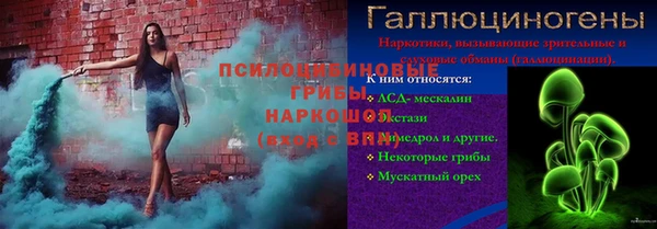 PSILOCYBIN Аркадак