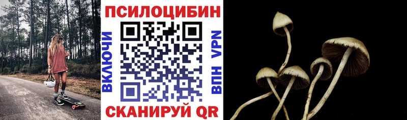 кракен зеркало  Остров  Галлюциногенные грибы Psilocybe 
